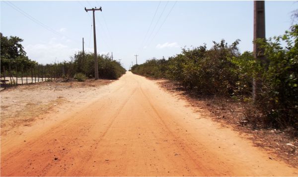 Estrada que liga Carnaubeiras a Bolacha, Barreirinhas e Pedrinhas.